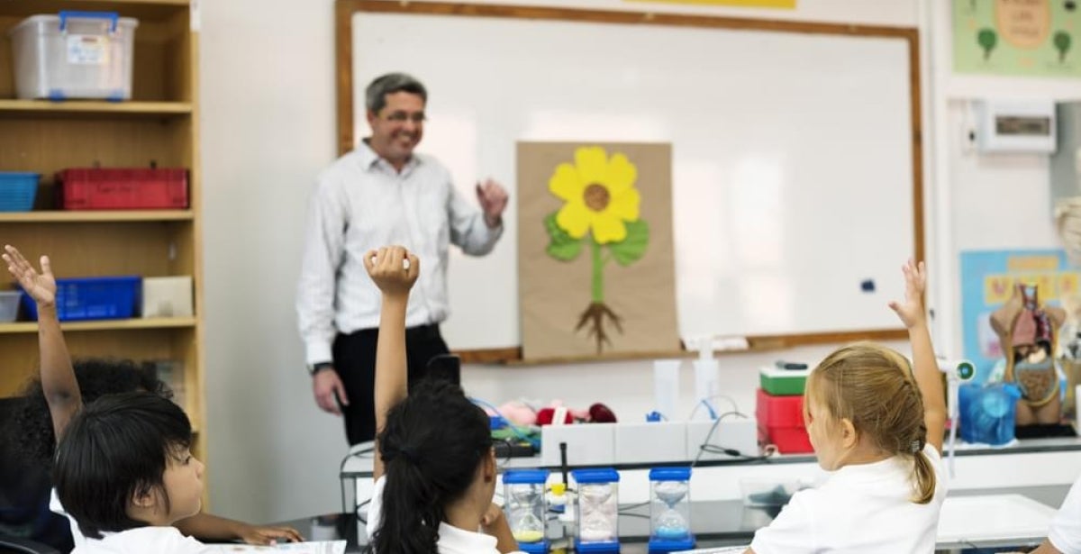 A primary school teacher stands at the front of the classroom.